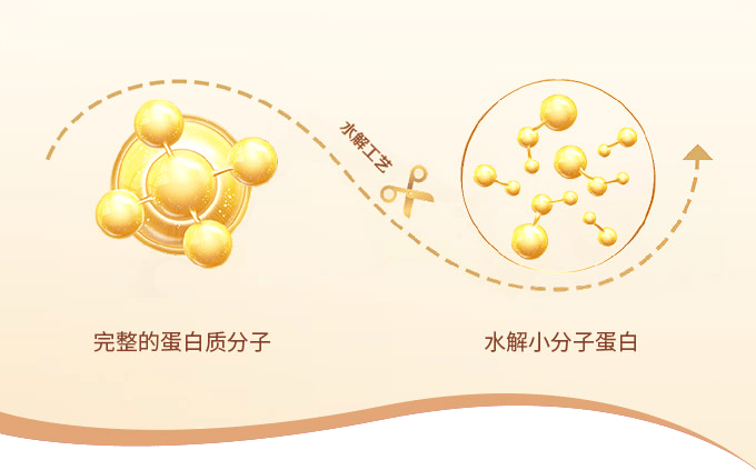kaiyun開云
