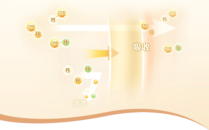 kaiyun開云