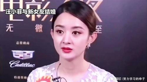 娛樂八卦吃瓜趙麗穎視頻在線觀看,揭秘幕后故事，帶你領略明星風采
