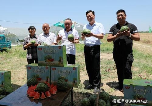 小卦專吃影視娛樂瓜,影視娛樂圈幕后風(fēng)云