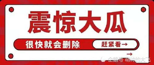 娛樂吃瓜八卦圖,吃瓜圖鑒背后的明星秘聞