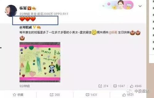 娛樂吃瓜醬生日,生日快樂，揭秘這位娛樂圈“瓜王”的獨家魅力