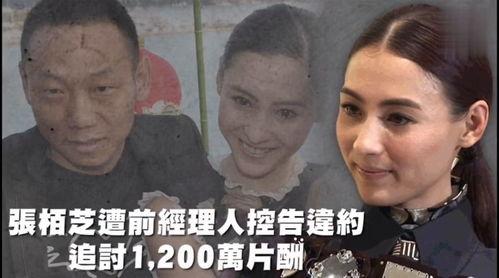 吃瓜娛樂(lè)666,揭秘娛樂(lè)圈幕后故事