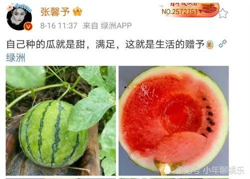 浮云娛樂吃瓜,揭秘娛樂圈最新吃瓜事件