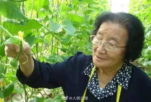 娛樂吃瓜醬夢想中的專業(yè),揭秘吃瓜醬心中的專業(yè)夢想之旅