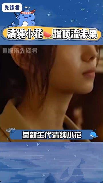 嘮嗑八卦娛樂情感吃瓜,吃瓜群眾揭秘明星情感幕后
