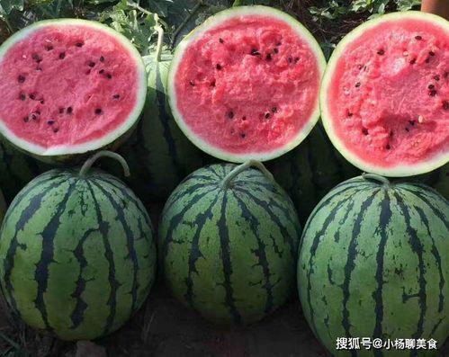 娛樂(lè)吃瓜醬不疊被子,揭秘明星不疊被子的秘密生活
