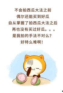 娛樂(lè)吃瓜醬拒絕精神,揭秘輕松生活之道
