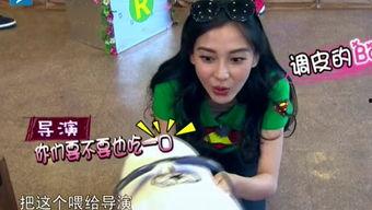 娛樂吃瓜醬笑聲視頻播放,網(wǎng)友直呼“太治愈”
