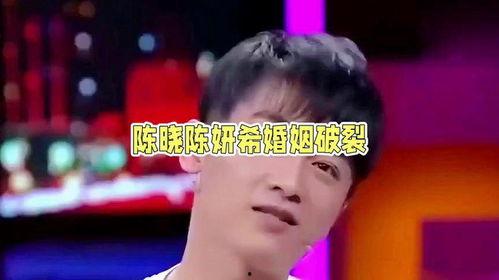 娛樂圈吃瓜情報局陳曉,娛樂圈吃瓜情報局揭秘，明星背后的故事
