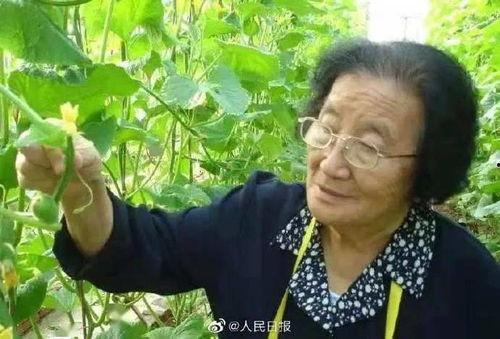 娛樂吃瓜君說二豆,二豆背后的故事與真相