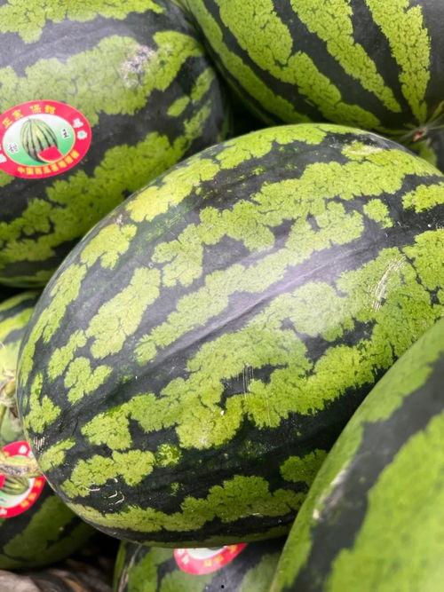 娛樂(lè)吃瓜錢(qián),吃瓜群眾如何用“錢(qián)”解鎖明星幕后故事