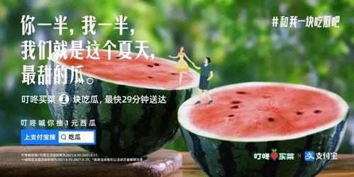 娛樂吃瓜評論文案怎么寫,揭秘吃瓜群眾的狂歡盛宴