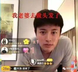 娛樂吃瓜電視劇全集小花,娛樂圈風(fēng)云錄