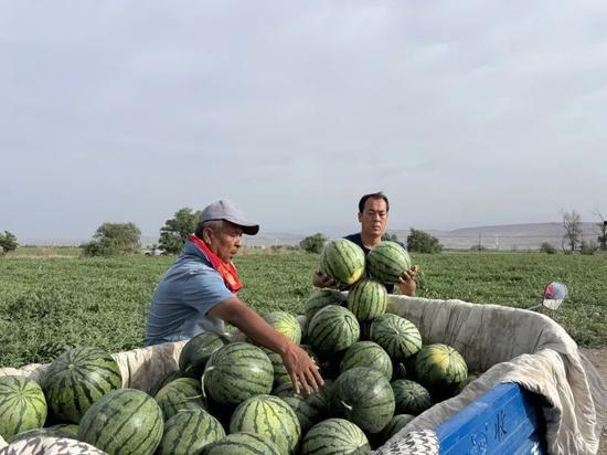 每天娛樂吃瓜,娛樂圈新鮮事速遞