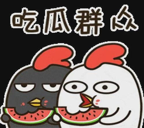 我不是廢柴娛樂吃瓜,娛樂吃瓜背后的勵志故事