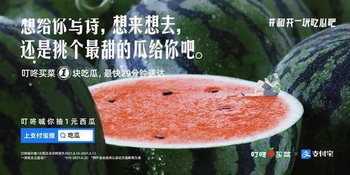 娛樂(lè)吃瓜的文案,吃瓜群眾必備的幕后花絮大匯總