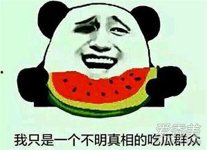 娛樂吃瓜的配音是什么意思,揭秘“娛樂吃瓜”配音背后的趣味與魅力