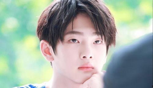 娛樂吃瓜小將王惠小說,娛樂圈的吃瓜小將，揭秘明星背后的故事