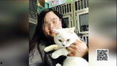 娛樂(lè)吃瓜醬小貓坐公交車,萌寵坐公交，趣味橫生一幕