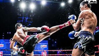 吃瓜娛樂拳擊比賽直播,直播盛宴，吃瓜觀眾見證激情對決