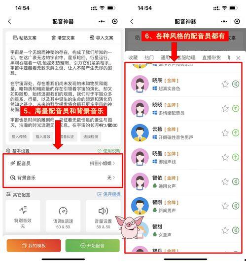 娛樂吃瓜音效軟件哪個好,哪個是你的最佳選擇？