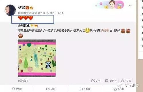 娛樂吃瓜醬過生日,星光熠熠，歡樂滿溢