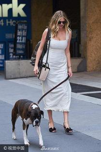 娛樂(lè)吃瓜醬遛狗小說(shuō)下載,小說(shuō)世界里的歡樂(lè)與溫情