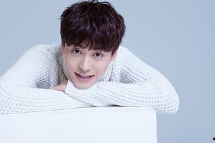 吃瓜娛樂馬天宇,揭秘娛樂圈幕后故事