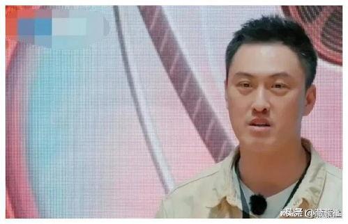 娛樂圈吃瓜爆料水印,揭秘明星幕后故事，水印見證真相！