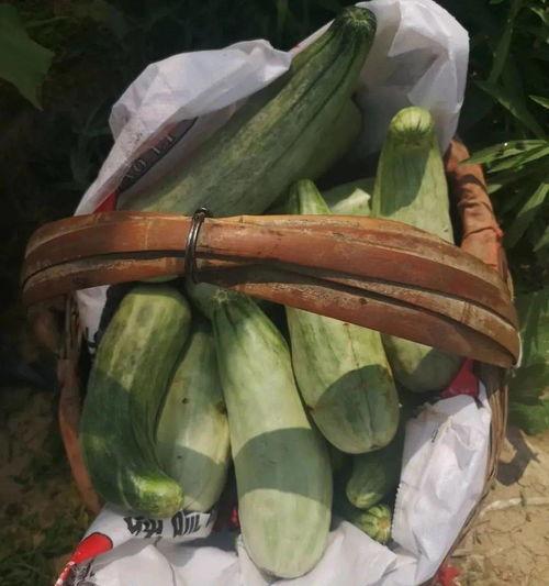 娛樂吃瓜帶貨,娛樂圈吃瓜達(dá)人帶你解鎖帶貨新姿勢